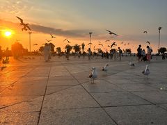 -东港音乐喷泉广场