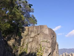 -金鸡山公园
