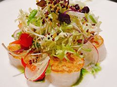 -蝶舍·MAISON PAPILLON