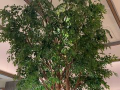 -榕意·川味之美(深业上城店)