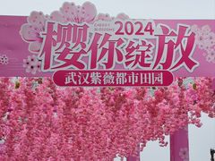 -武汉紫薇都市田园