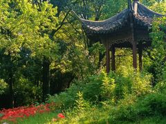 -杭州植物园