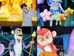 -海合安成都极地海洋公园