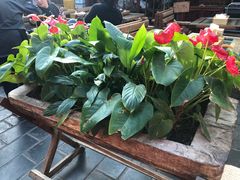 -丽江庭院之爱在路上(西单店)