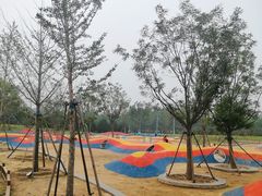 -东郊湿地公园