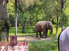 -北京野生动物园