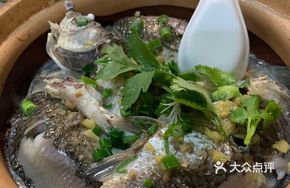 Soft Cartilage Crucian Carp