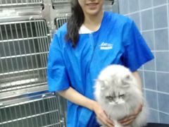 -瑞鹏动物医院宠美康(扬子江路分院)