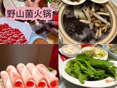 -天宜隆蘑菇宴火锅(石景山旗舰店)