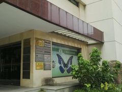 -上海昆虫博物馆