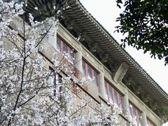 -武汉大学-樱园