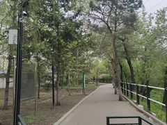-黛秀湖公园