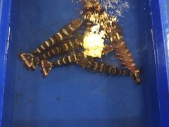 -幸福姐海鲜大排档