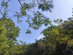 -凤岗南门山森林公园