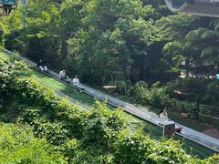 -富斯特索道
