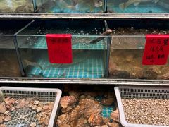-金海湾海鲜排档(朱家尖店)