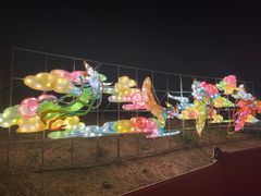 -空港花田景区