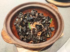 葱爆青藏木耳-柴门头啖汤·经典川菜·慢火汤品(锦城万达店)