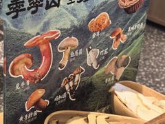 -季季山•云南野生菌火锅(上海首店)