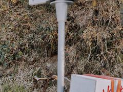 -四明山国家森林公园