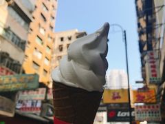-富豪雪糕车流动点(尖沙咀店)