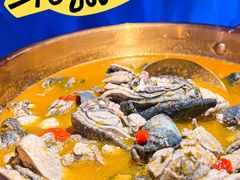 -Darling Queen·Mini·Live·House