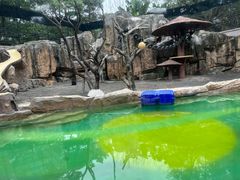 -深圳野生动物园
