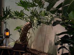 -J Create城市露营咖啡·简餐·宠物(上海动物园店)