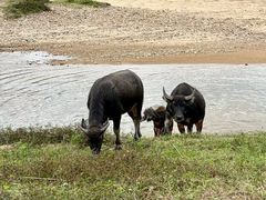 -海南热带雨林国家公园吊罗山景区