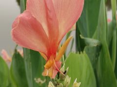 -广州国际生物岛