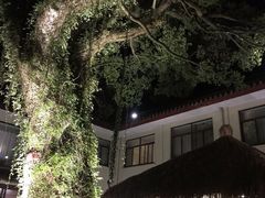 -普陀山雷迪森庄园