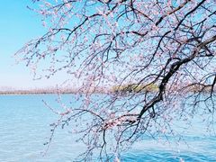 -颐和园