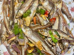 -苏州河梦清园环保主题公园