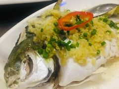 -优之名鹅城