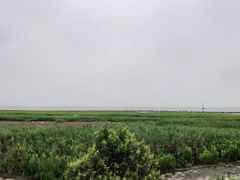 -南汇嘴观海公园