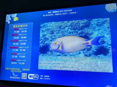 -合肥海洋世界
