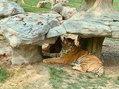 -北京野生动物园