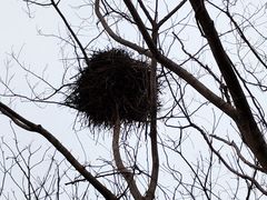 -盘龙城国家考古遗址公园