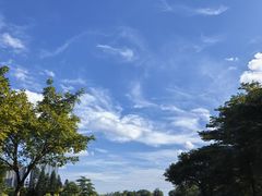 -映月湖公园