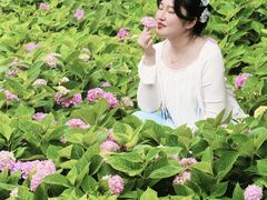 -金银湖国家城市湿地公园