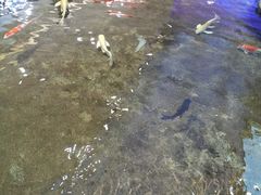 -鸿通城购物中心