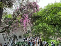 -深圳国际园林花卉博览园