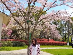 -金鸡湖桃花岛