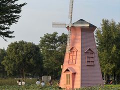 -顺峰山公园