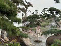 -罗红摄影艺术馆