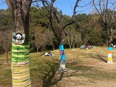 -昆山城市生态森林公园