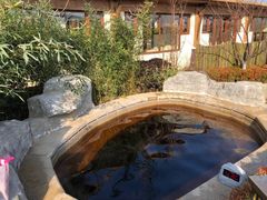 -大连金石滩绿发温泉假日酒店