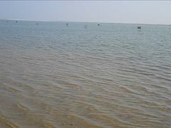 -碧海金沙