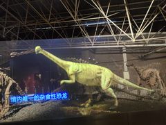 -世界恐龙谷景区