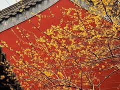 -钱王祠